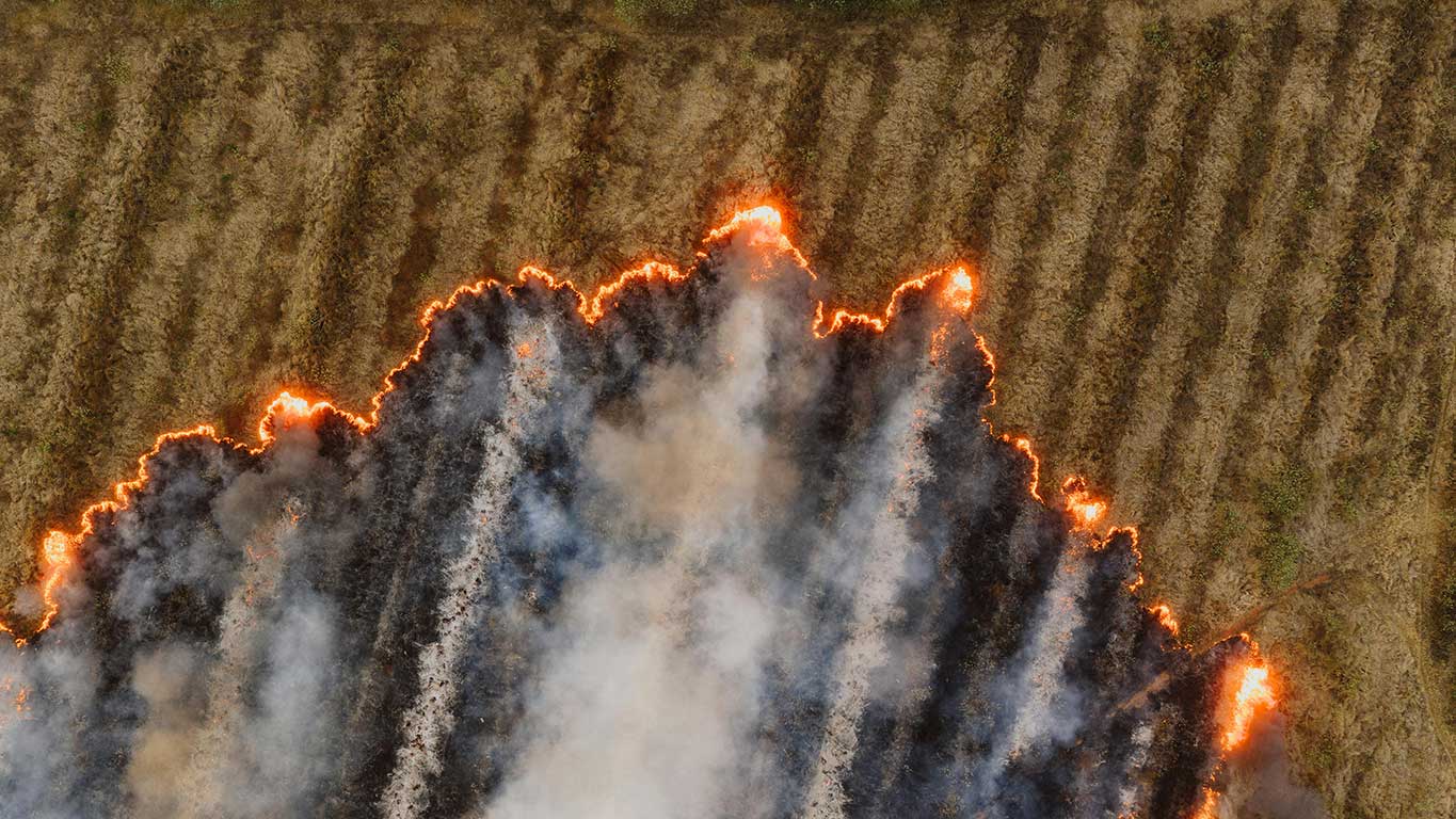 what exactly is stubble burning