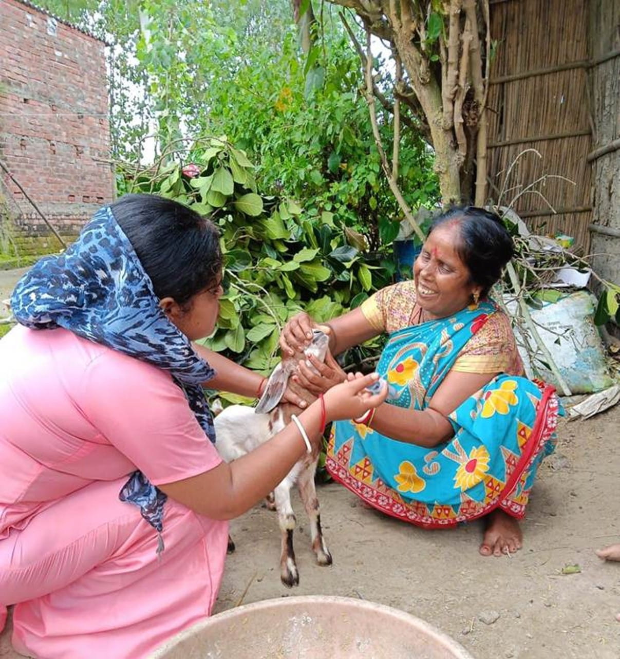 what is a pashu sakhi